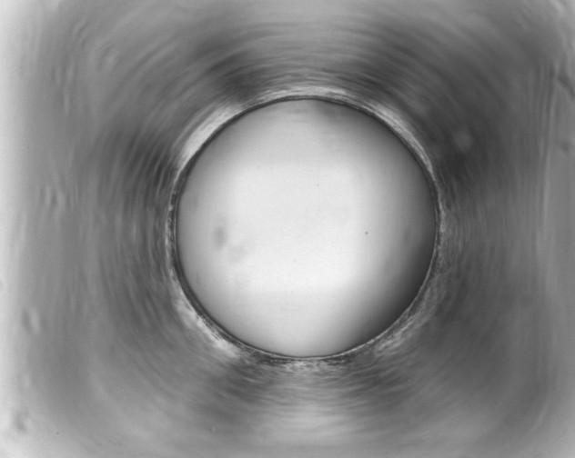 X0000100210906200805300723