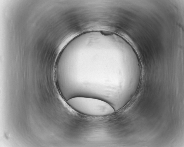 X0000100210909200805300723