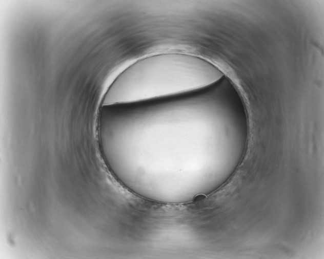 X0000100210912200805300723