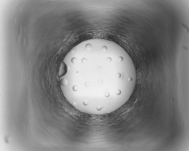 X0000100210913200805300722