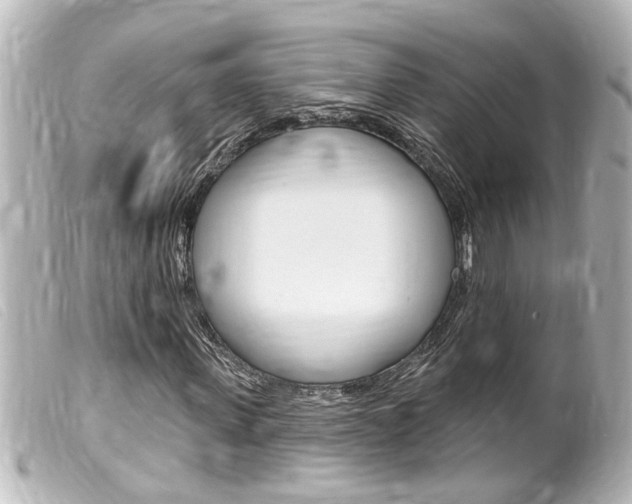 X0000100210915200805300722