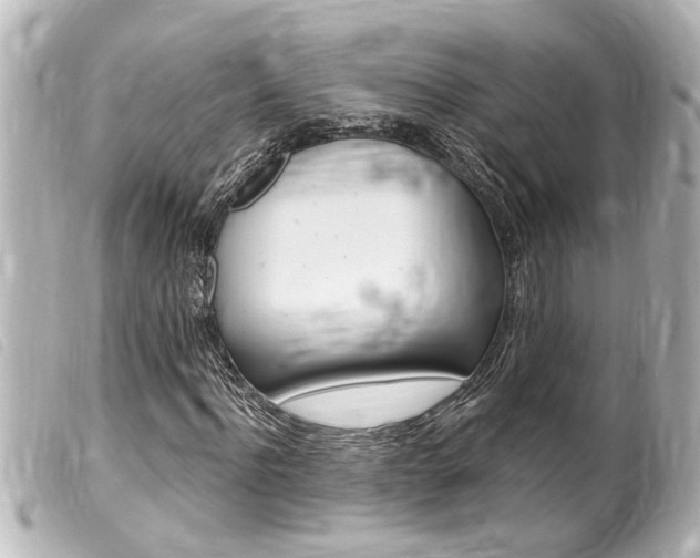 X0000100210916200805300722