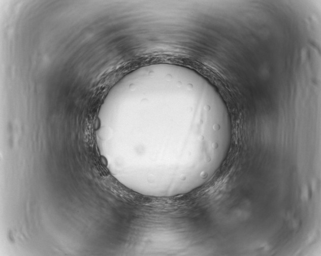 X0000100210917200805300722