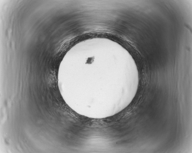 X0000100210918200805300722