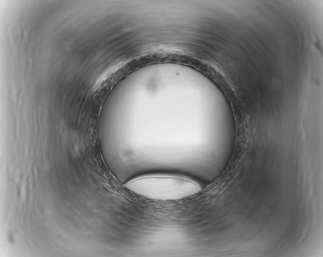 X0000100210919200805300722