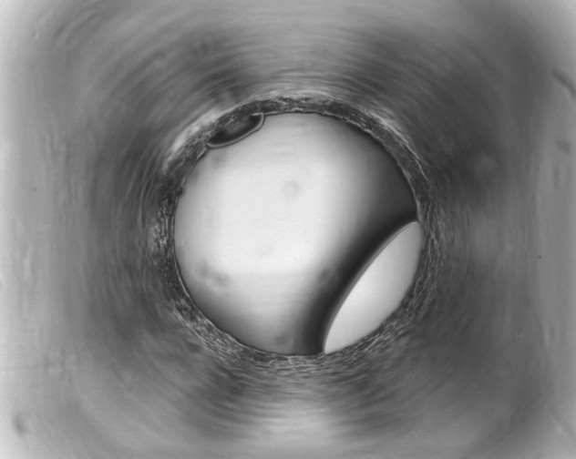 X0000100210920200805300722