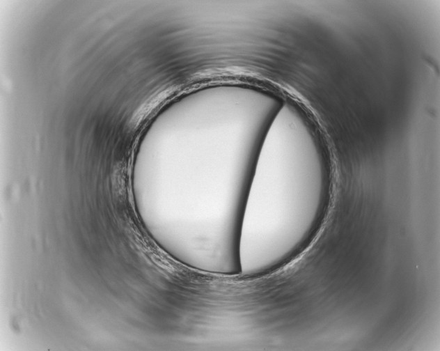 X0000100210921200805300722