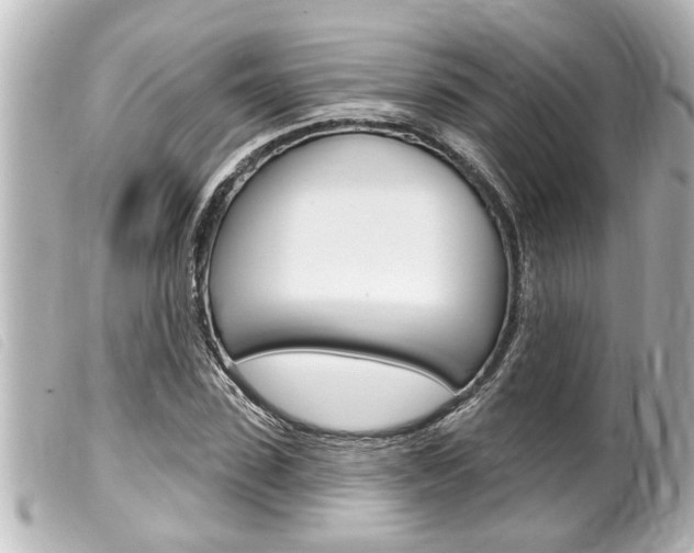X0000100210923200805300722