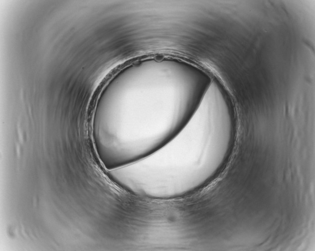 X0000100210924200805300722