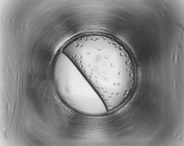 X0000100210925200805300722