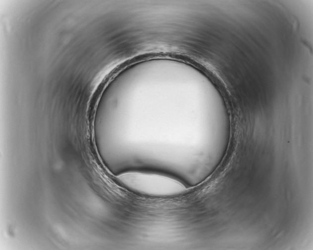 X0000100210927200805300722