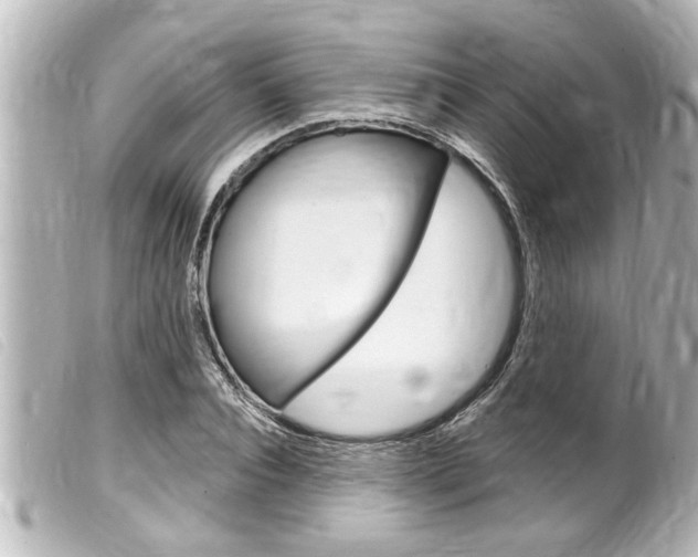 X0000100210928200805300722