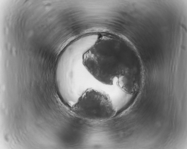 X0000100210929200805300722