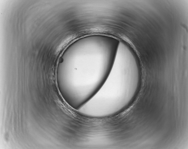 X0000100210930200805300722