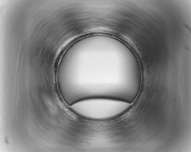 X0000100210931200805300722