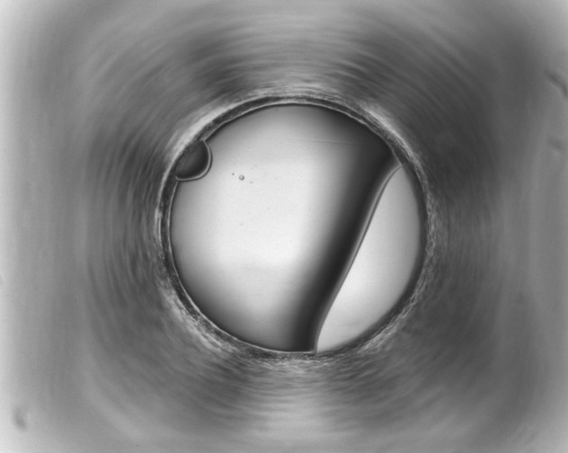 X0000100210932200805300722