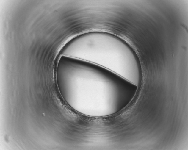 X0000100210934200805300722