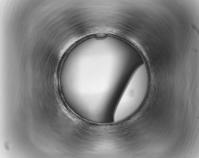X0000100210936200805300722