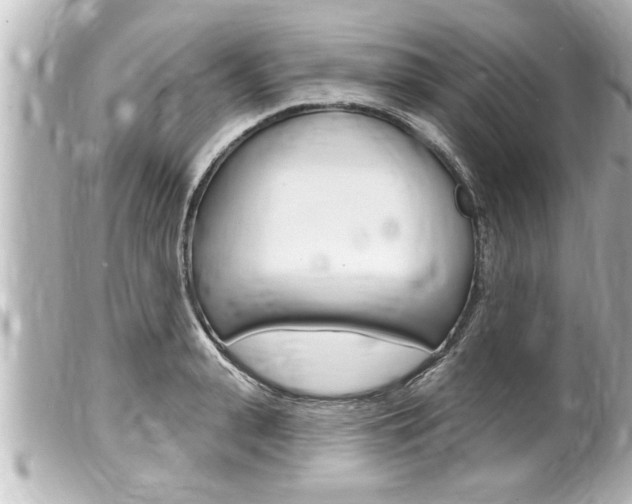 X0000100210943200805300722