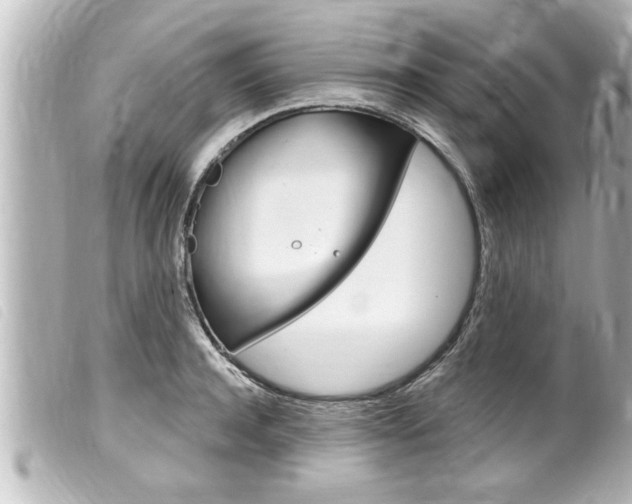 X0000100210944200805300722