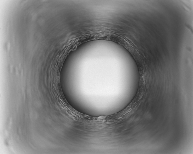 X0000100210961200805300722
