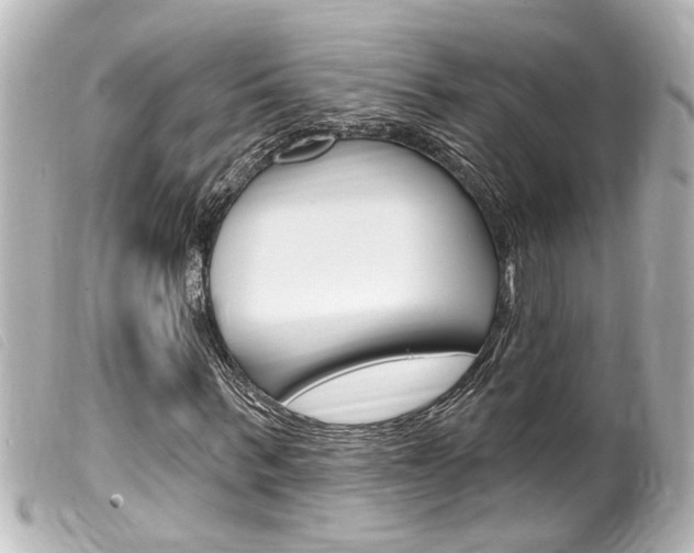 X0000100210963200805300722