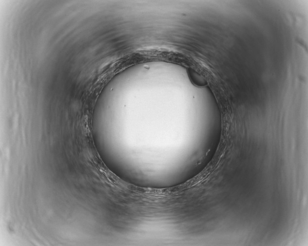 X0000100210965200805300722