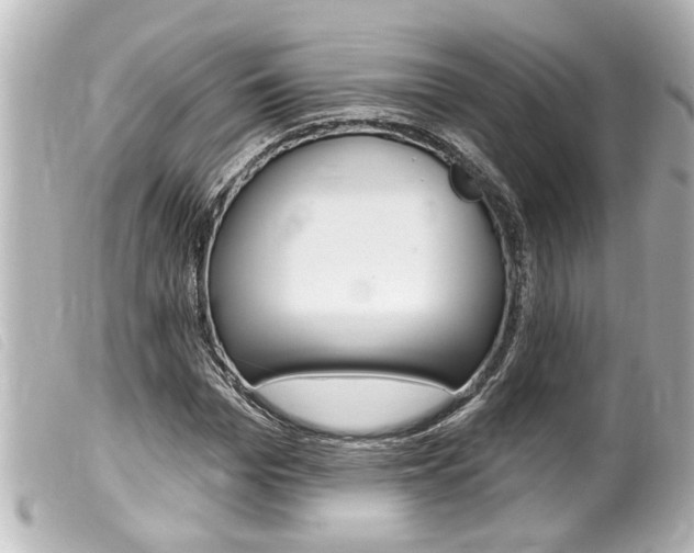 X0000100210969200805300722