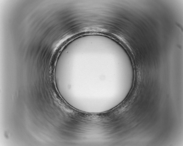 X0000100210971200805300722