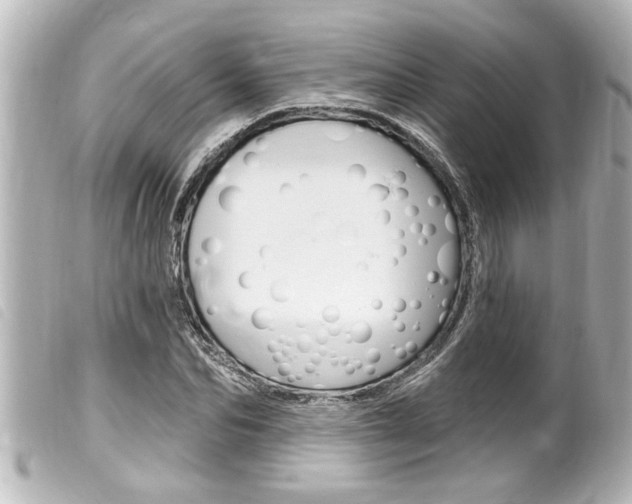 X0000100210974200805300722