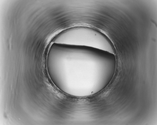 X0000100210979200805300722