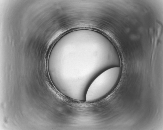 X0000100210982200805300722