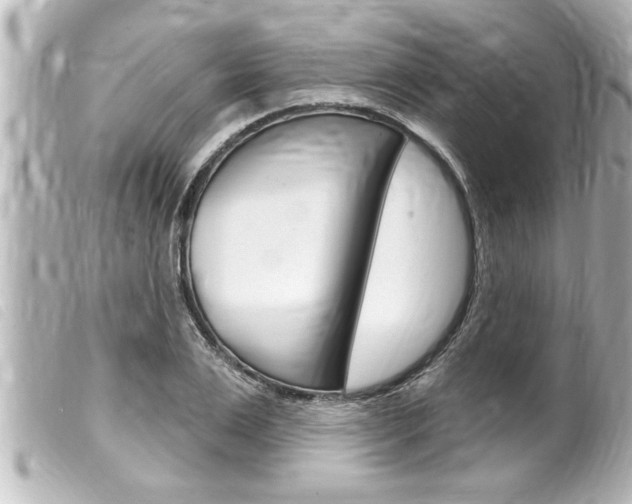 X0000100210983200805300722