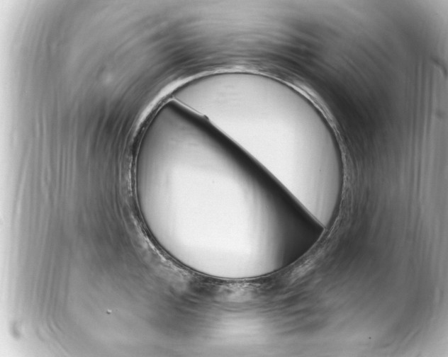 X0000100211000200805300721
