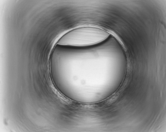 X0000100211004200805300721
