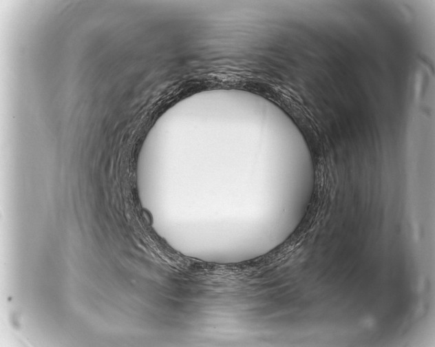 X0000100211009200805300721
