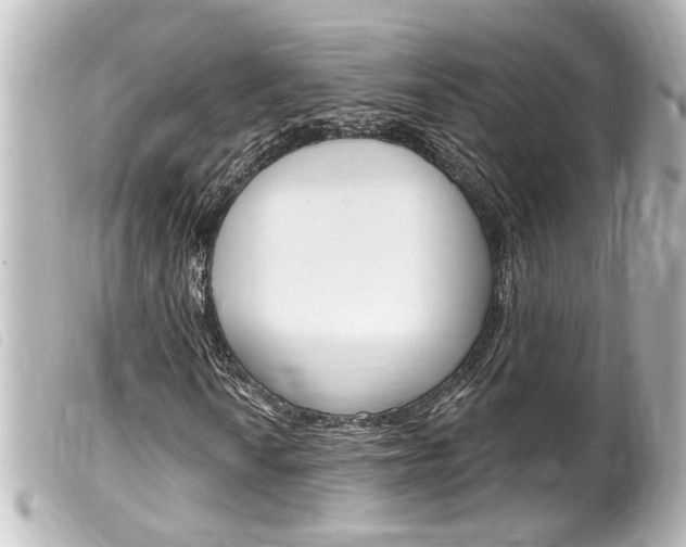 X0000100211010200805300721