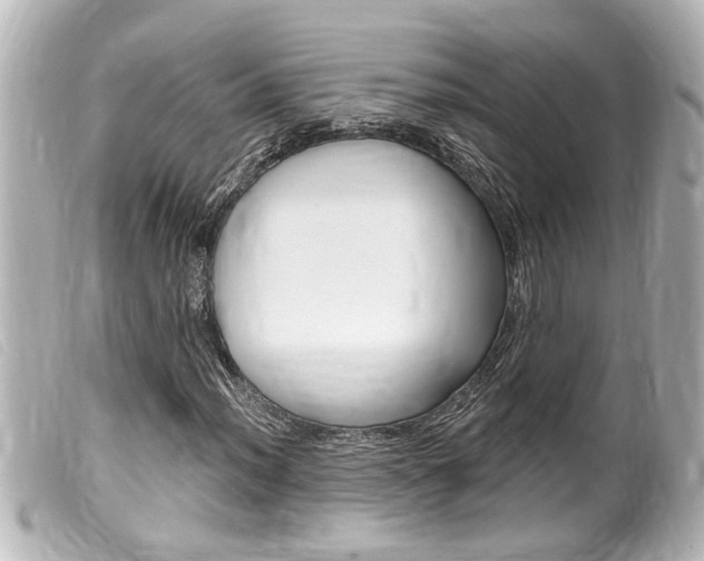 X0000100211012200805300721