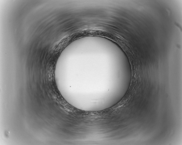 X0000100211014200805300721