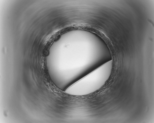 X0000100211016200805300721