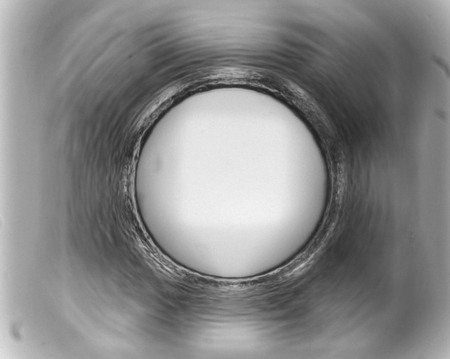 X0000100211017200805300721