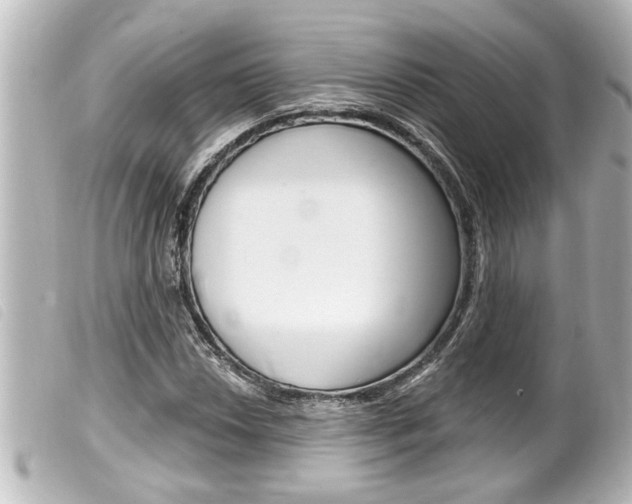 X0000100211018200805300721