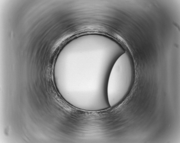 X0000100211019200805300721