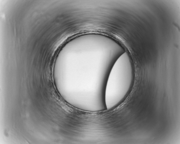 X0000100211023200805300721
