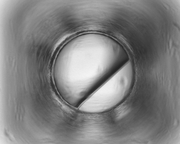 X0000100211024200805300721