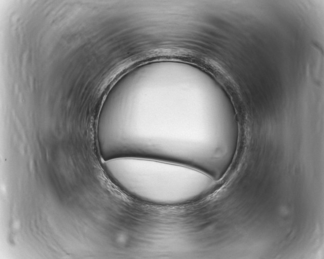 X0000100211025200805300721