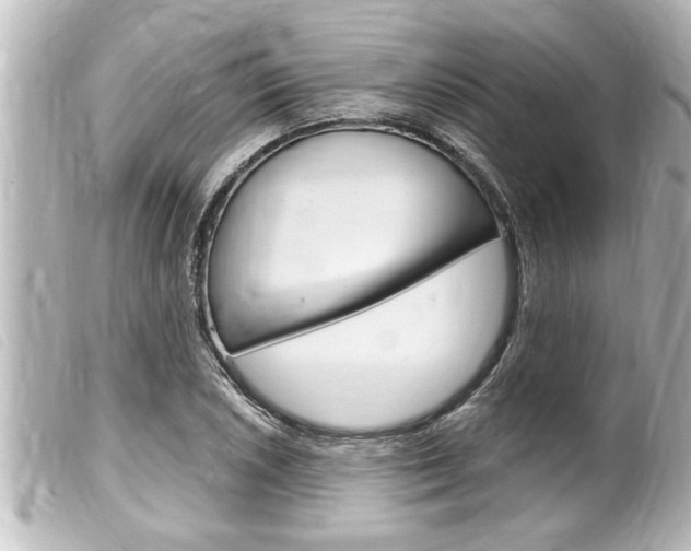 X0000100211026200805300721