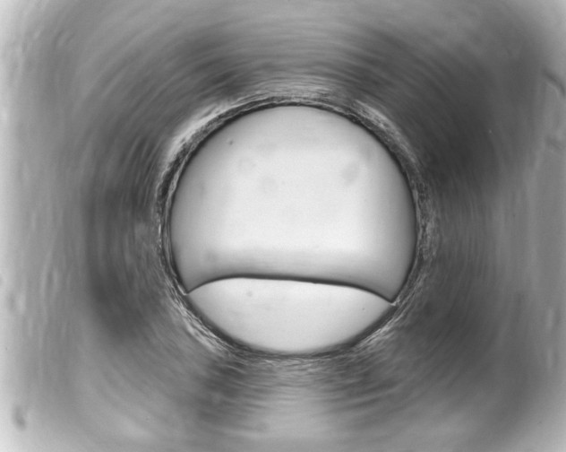 X0000100211027200805300721