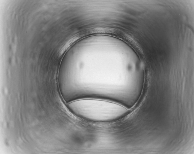 X0000100211033200805300721