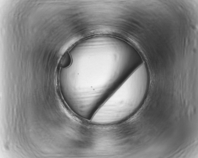 X0000100211034200805300721